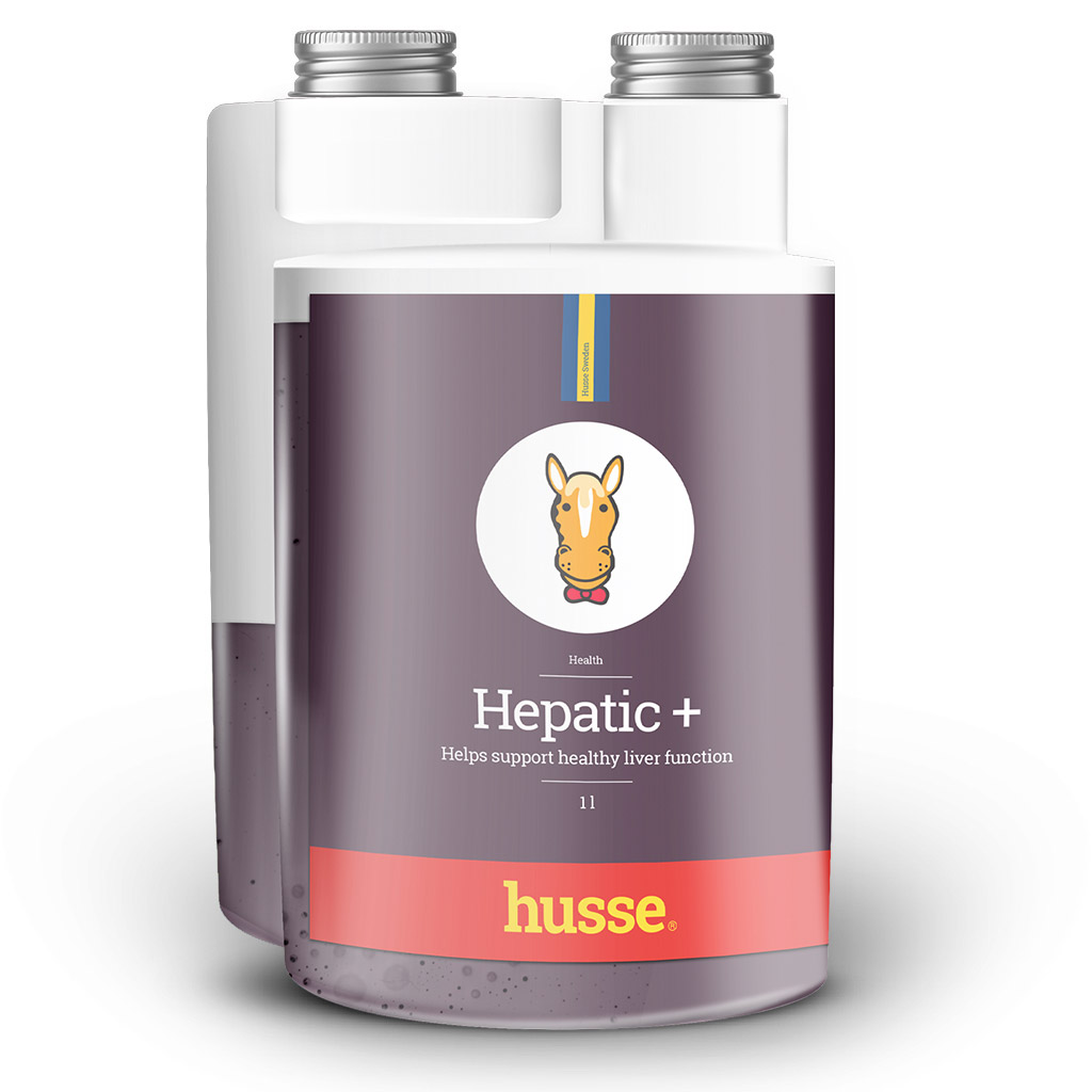 Hepatic Plus - pynny preparat na wtrob oraz nerki koni 1 l